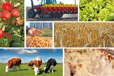 Евразийский союз и страны исламского мира совместно усилят продовольственную безопасность